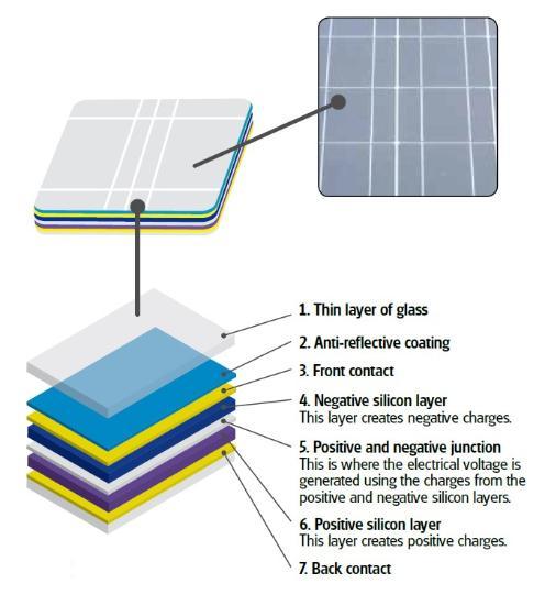 Solar cell detail
1. Thin layer of glass
2. Anti-reflective coating
3. Front contact
4. Negative silicon layer
This layer creates negative charges.
5. Positive and negative junction
This is where the electrical voltage is
generated using the charges from the
positive and negative silicon layers.
6. Positive silicon layer
This layer creates positive charges.
7. Back contact